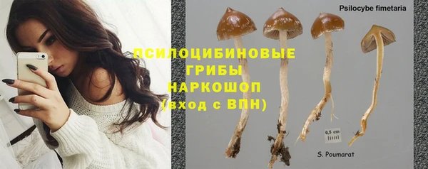 apvp Надым