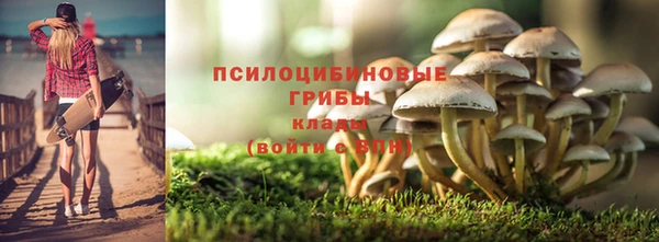 apvp Надым
